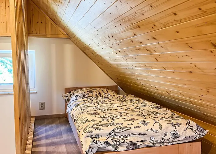 Wellness Panorama シャレー Dolní Podluží